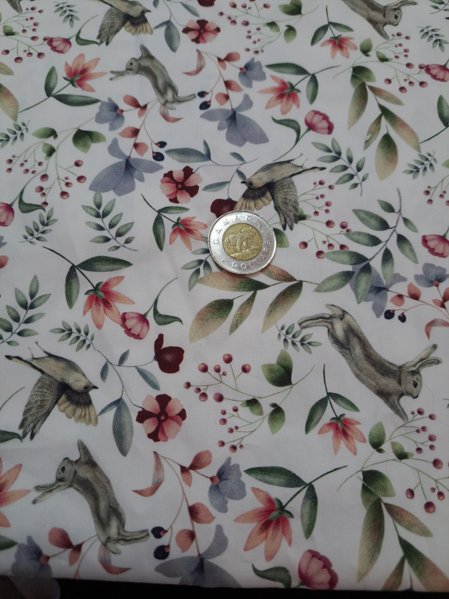 Tissus - 100% Coton/ Canevas
