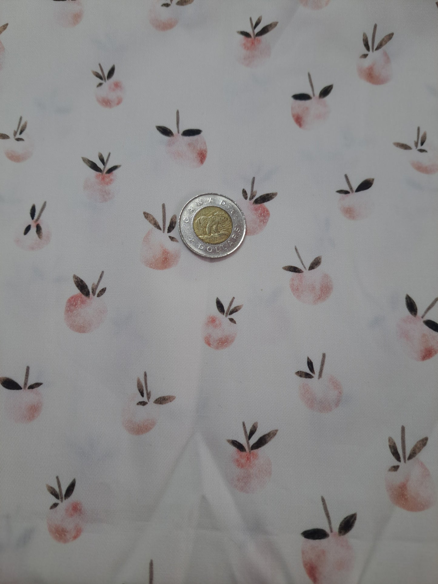 Tissus - 100% Coton/ Canevas