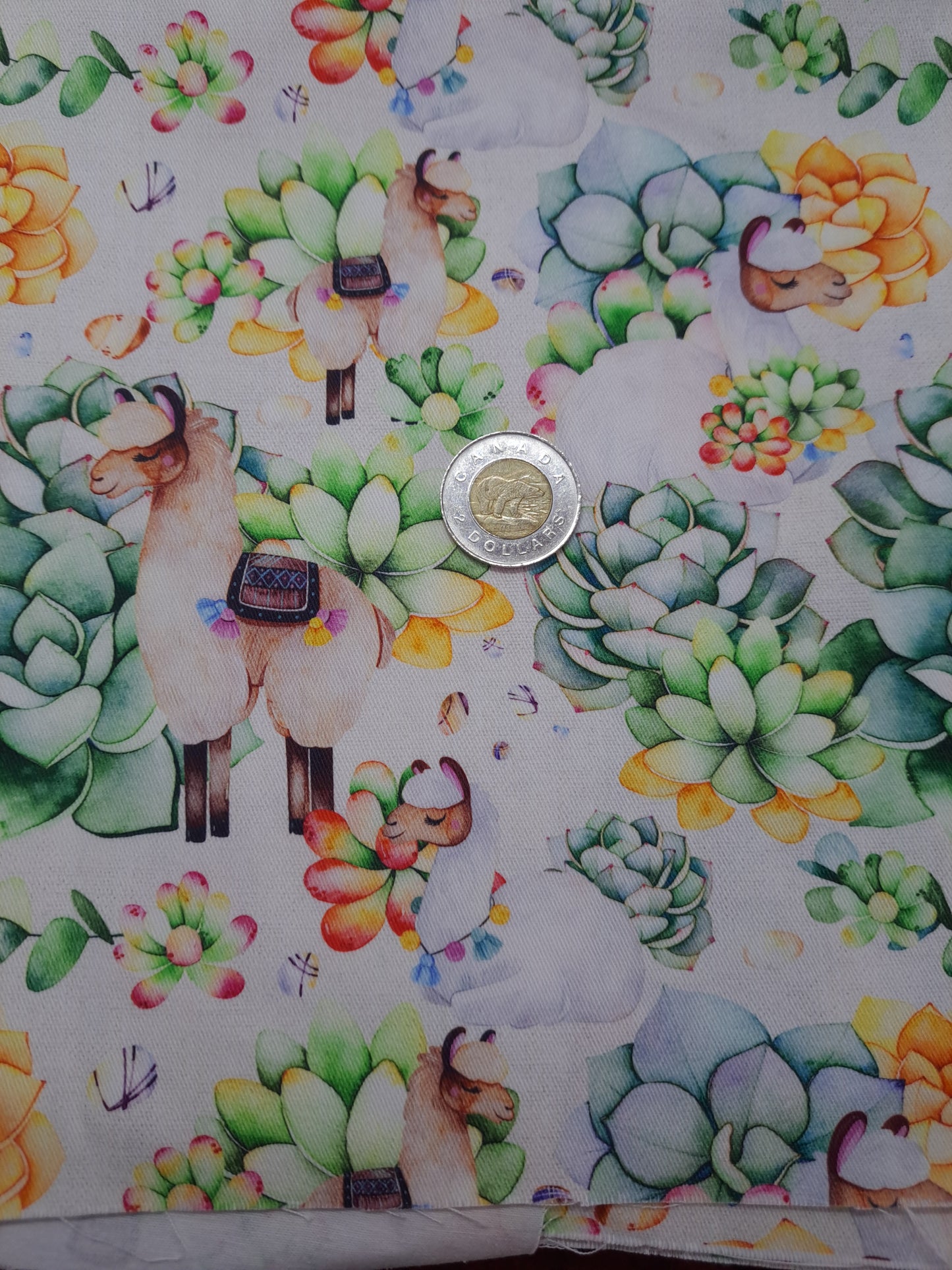 Tissus - 100% Coton/ Canevas