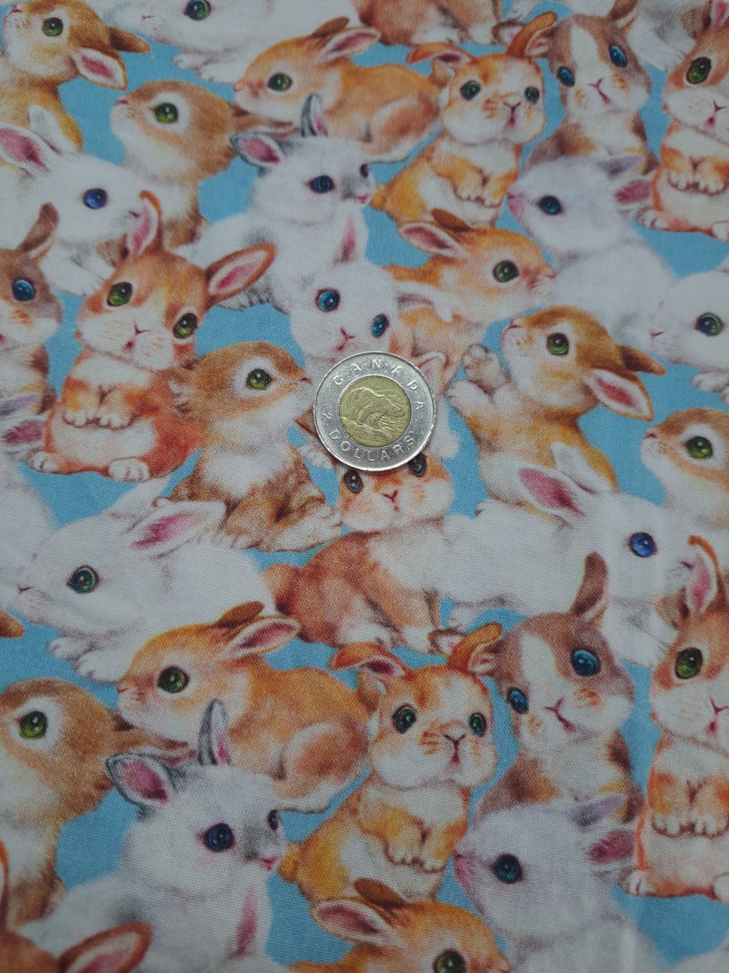 Tissus - 100% Coton/ Canevas
