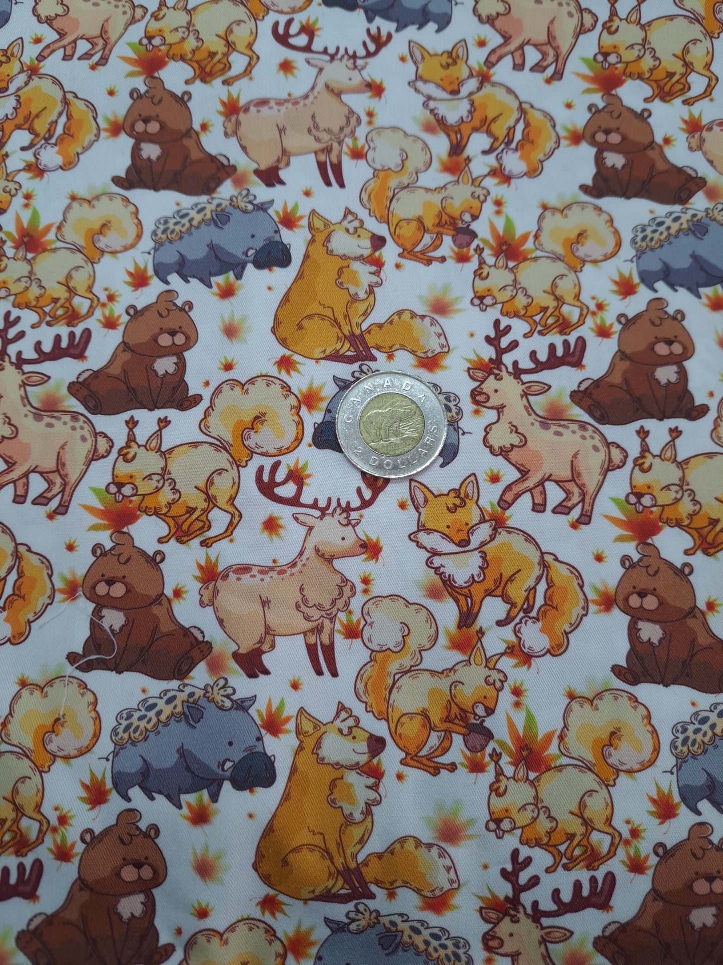 Tissus - 100% Coton/ Canevas