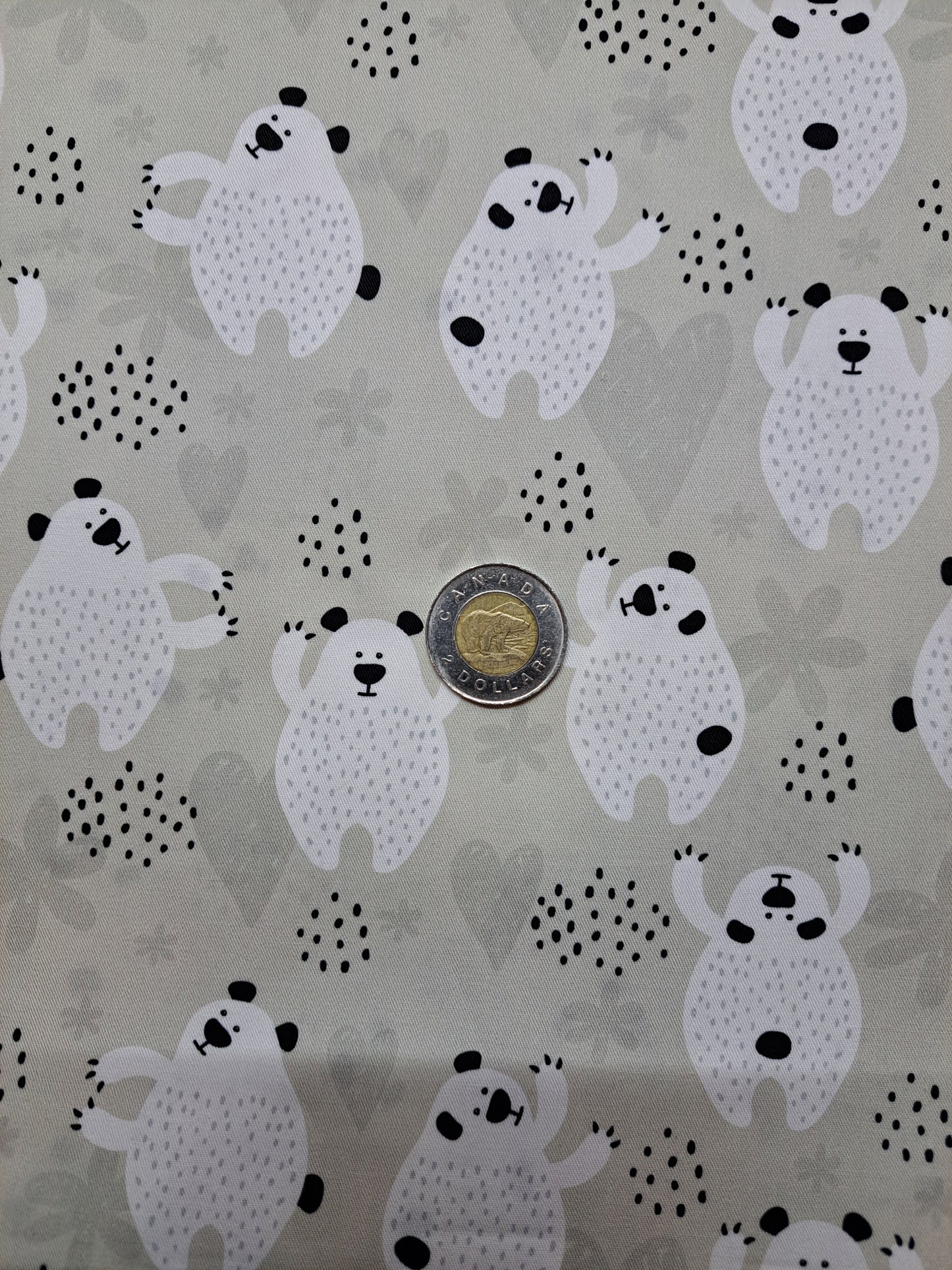 Tissus - 100% Coton/ Canevas
