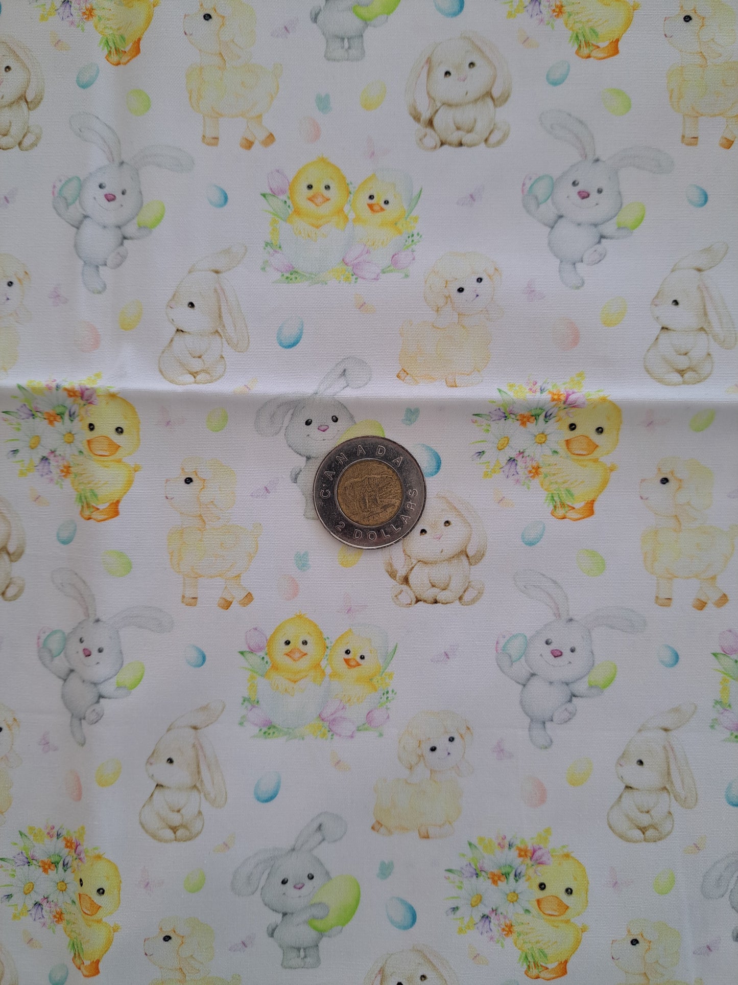 Tissus - 100% Coton/ Canevas
