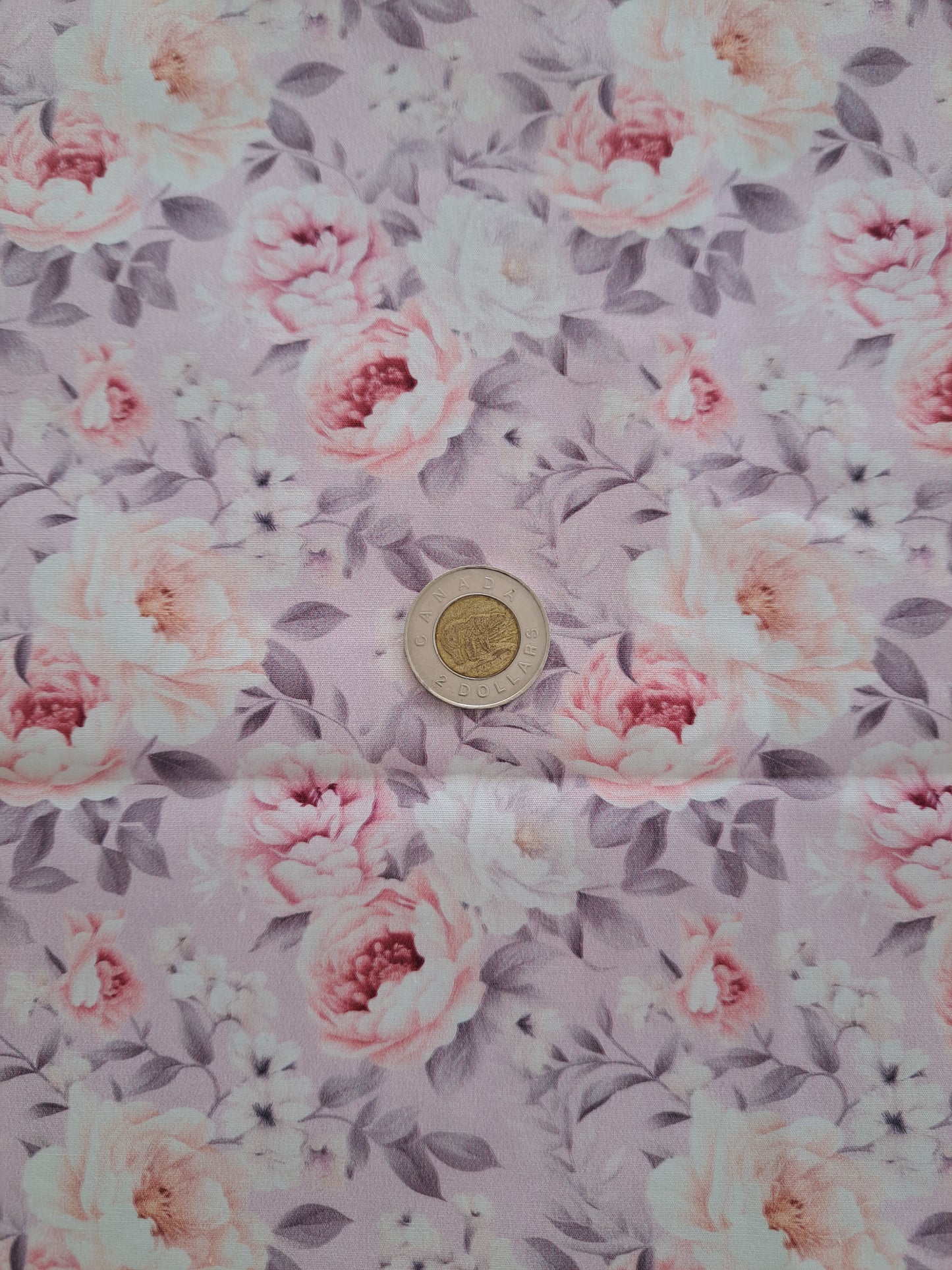 Tissus - 100% Coton/ Canevas