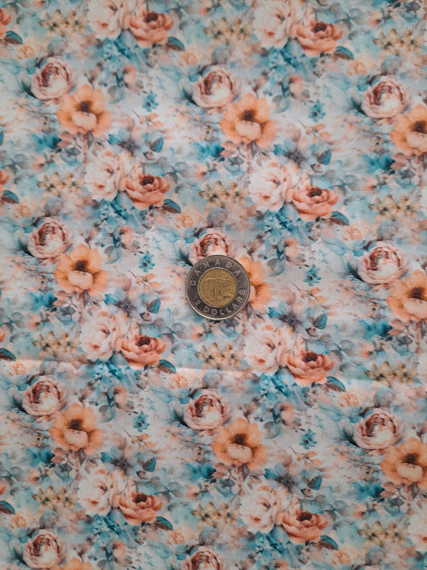 Tissus - 100% Coton/ Canevas