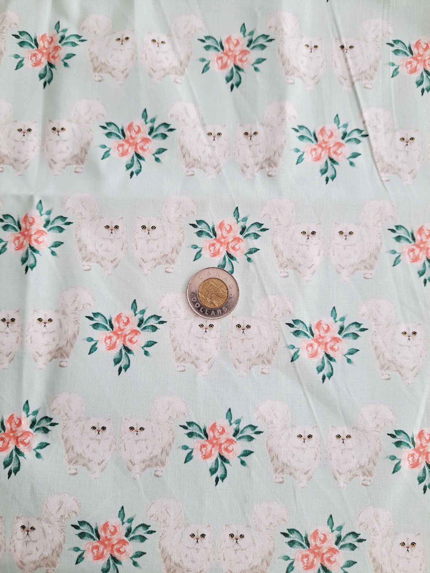 Tissus - 100% Coton/ Canevas