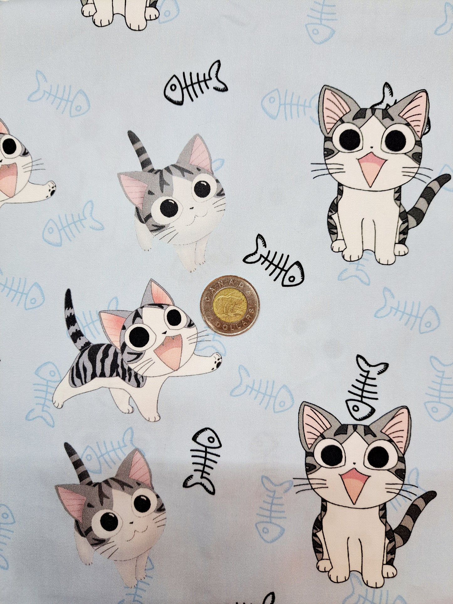 Tissus - 100% Coton/ Canevas