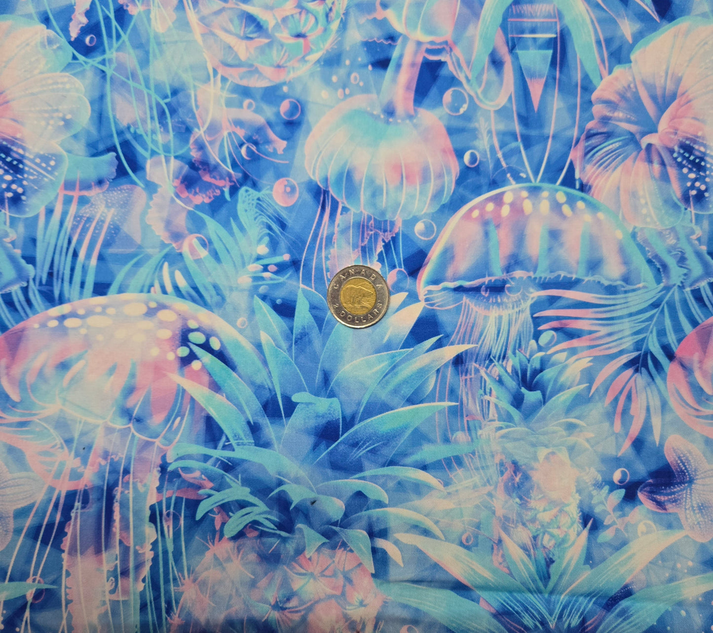 Tissus - 100% Coton/ Canevas