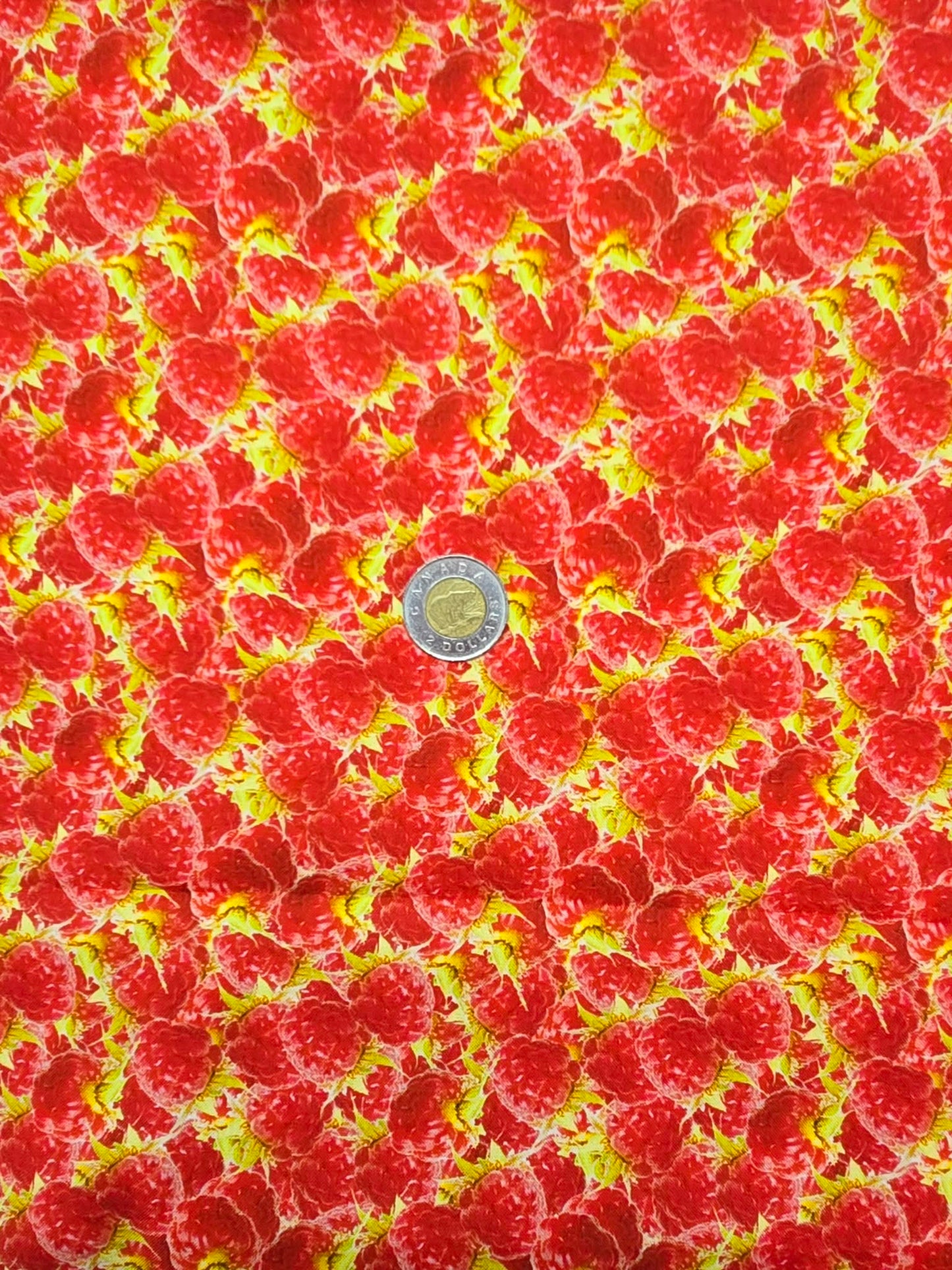 Tissus - 100% Coton/ Canevas
