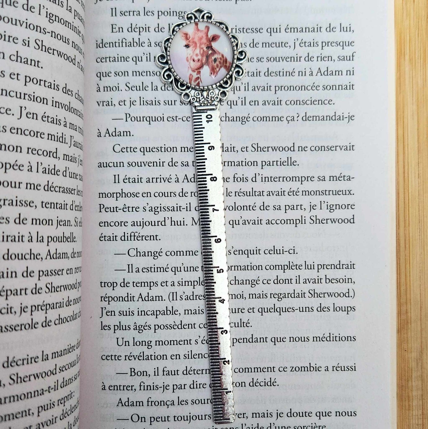 Règle de lecture - Girafes