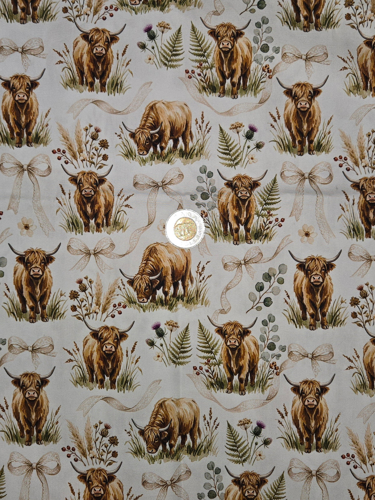 Coton - Vaxhe Highland et boucle