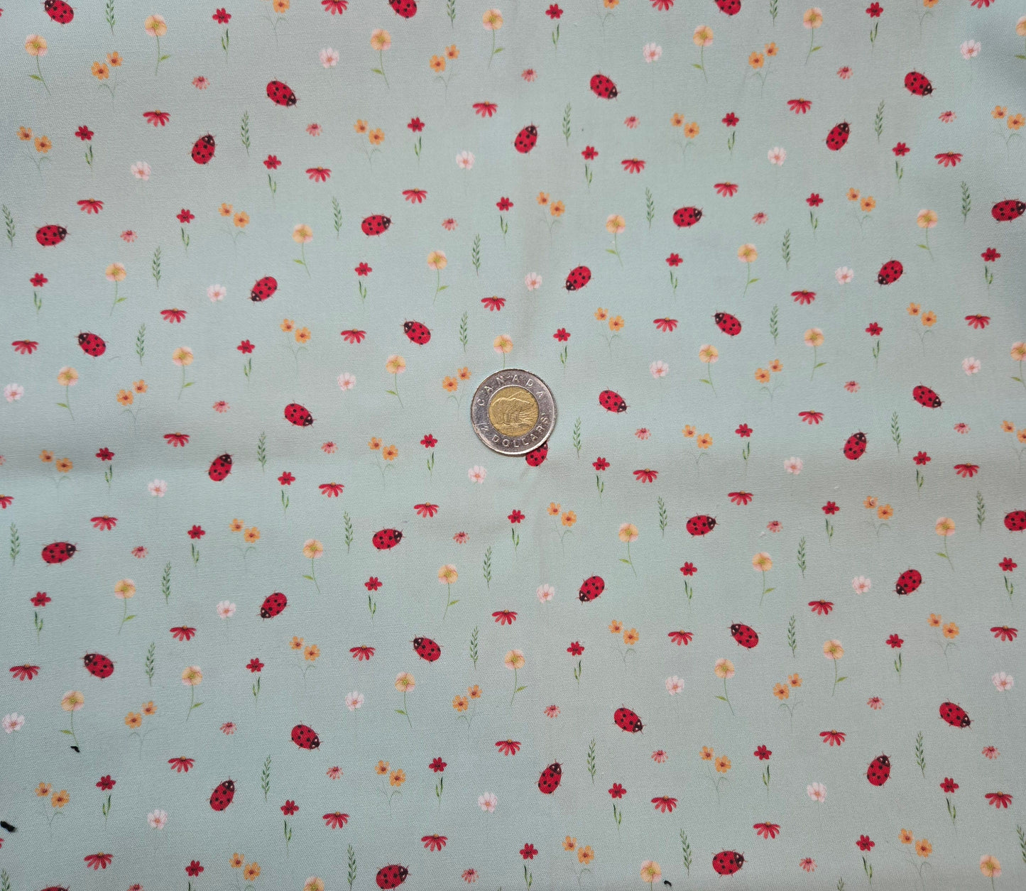 Tissus - 100% Coton/ Canevas