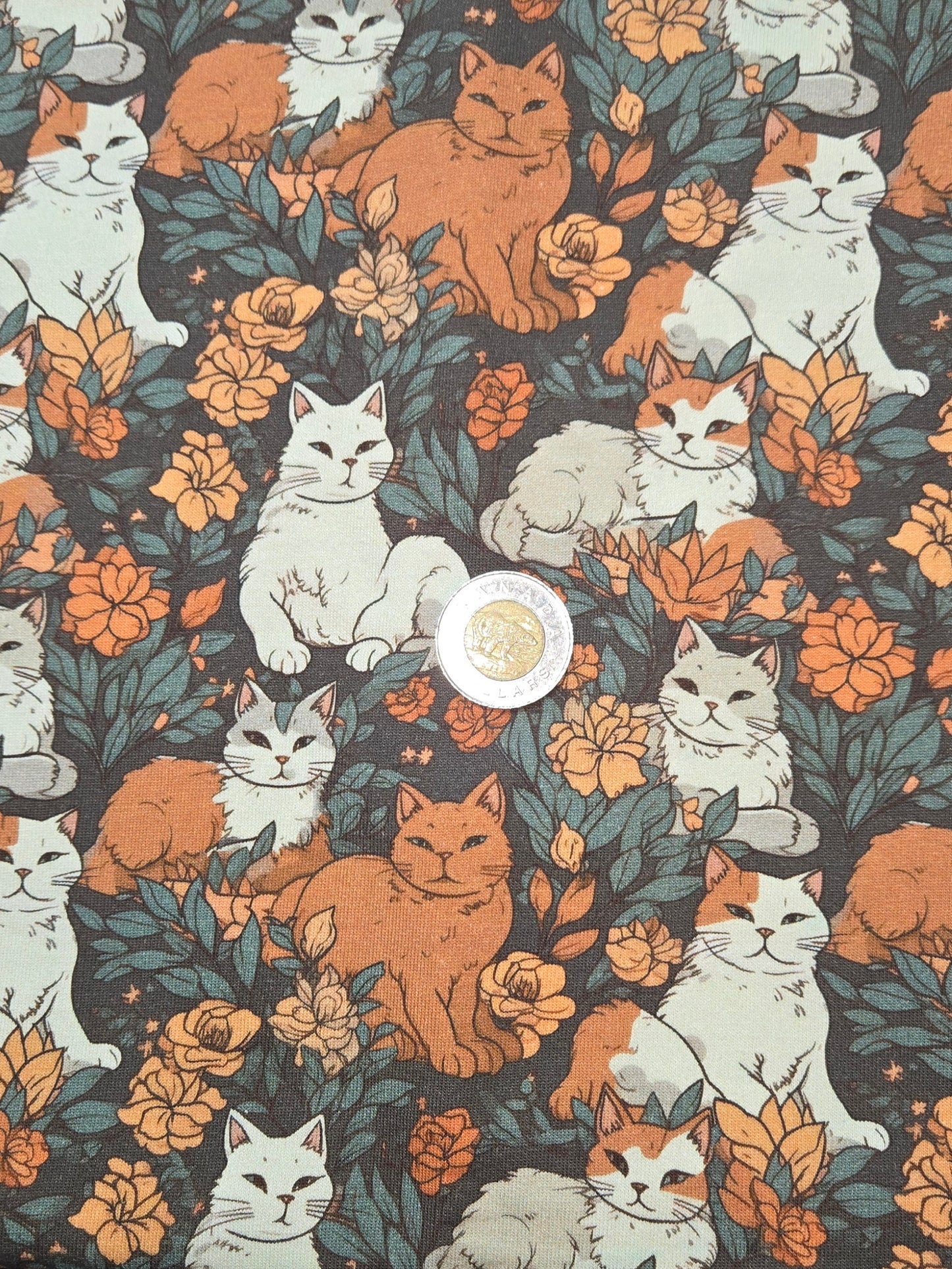 Tissus - Les fibres élastique (CL, French Terry, DBP)