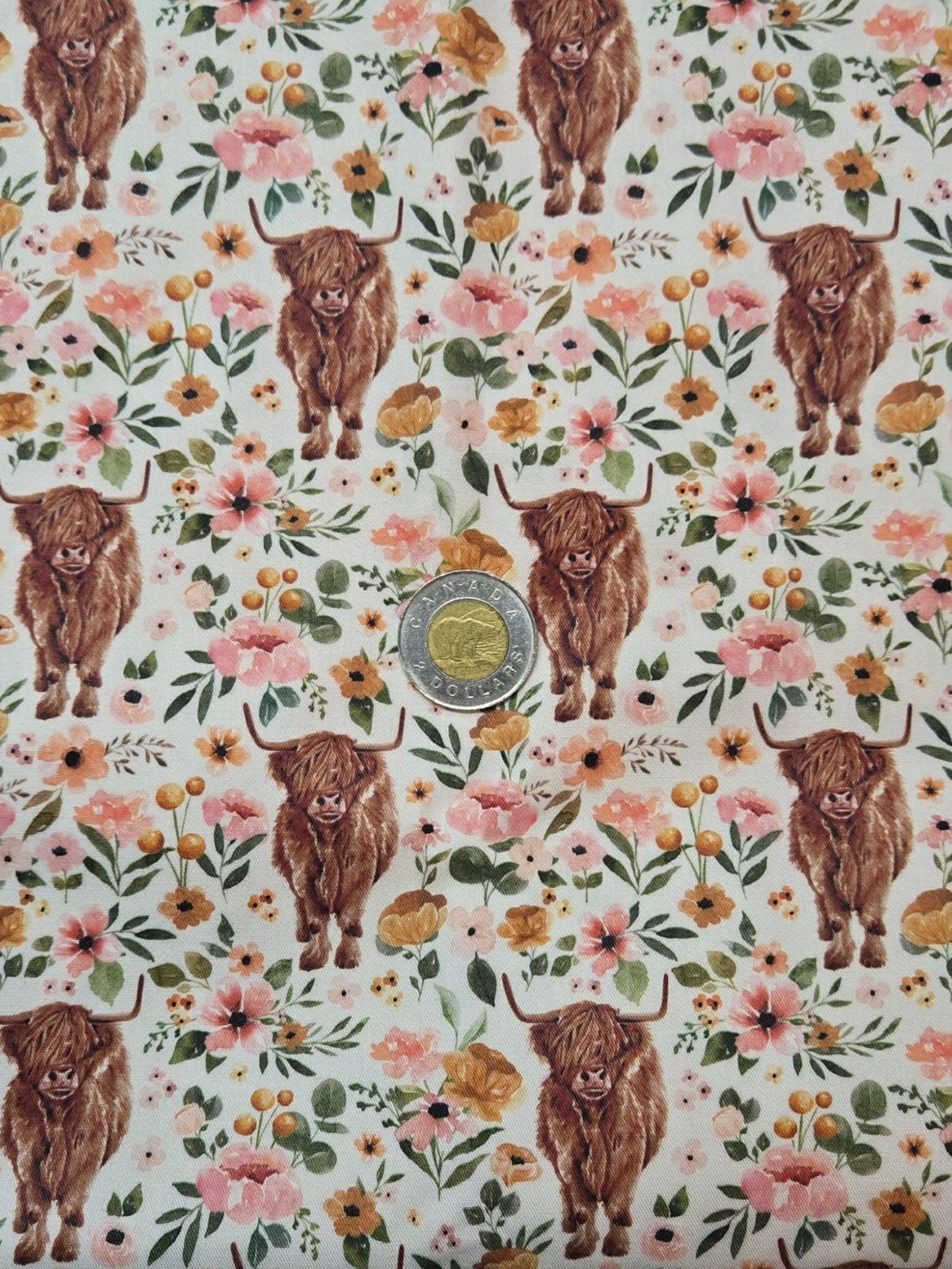 Tissus - 100% Coton/ Canevas