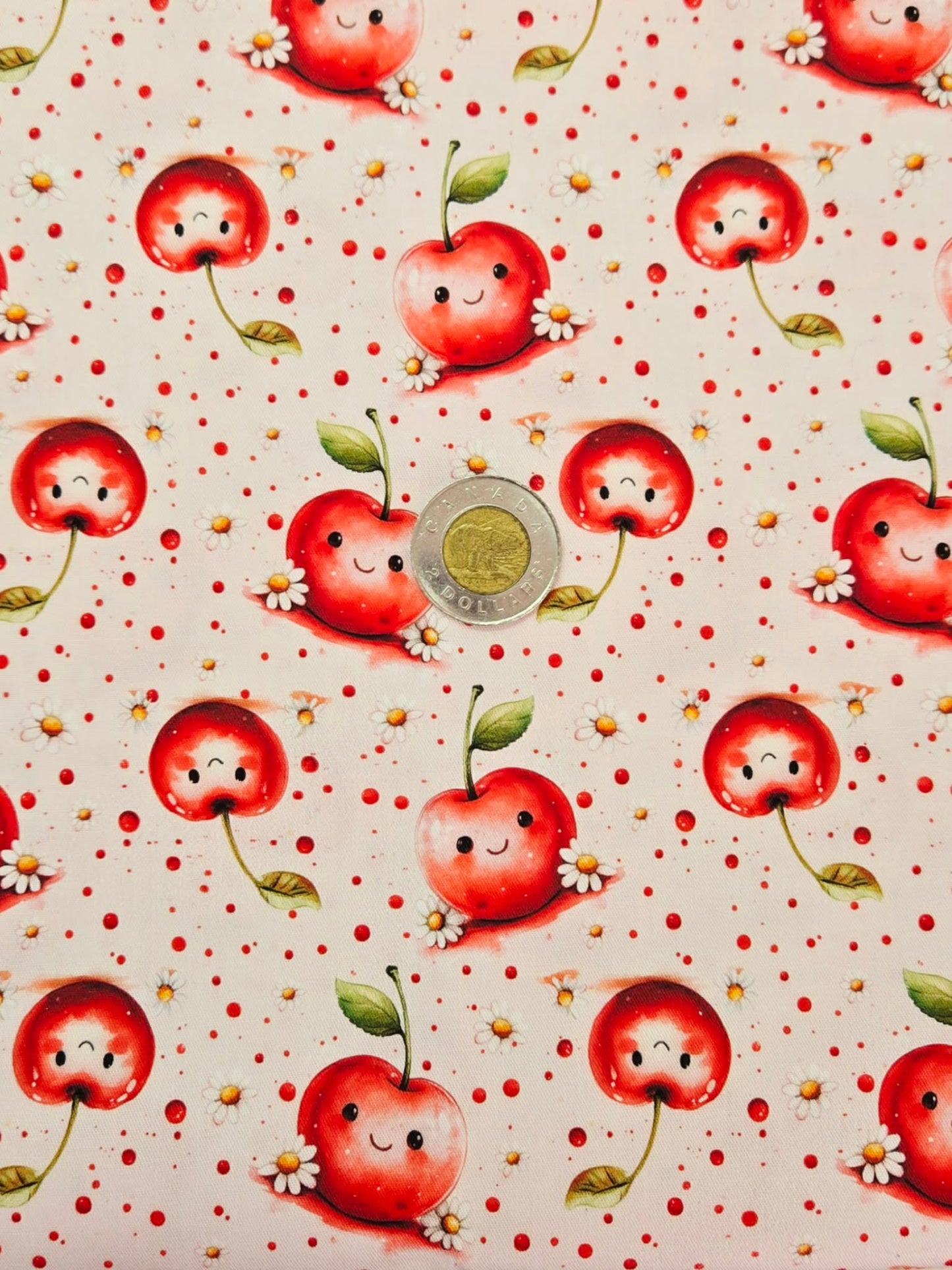 Tissus - 100% Coton/ Canevas