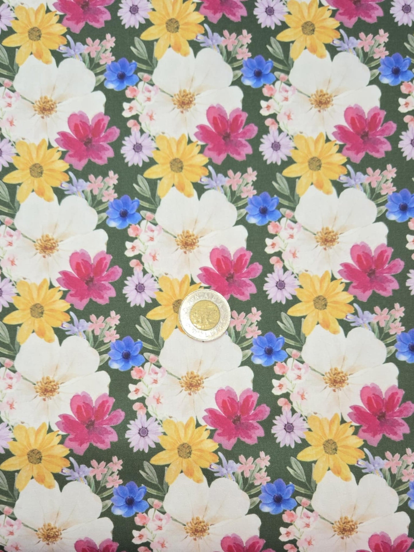 Tissus - 100% Coton/ Canevas