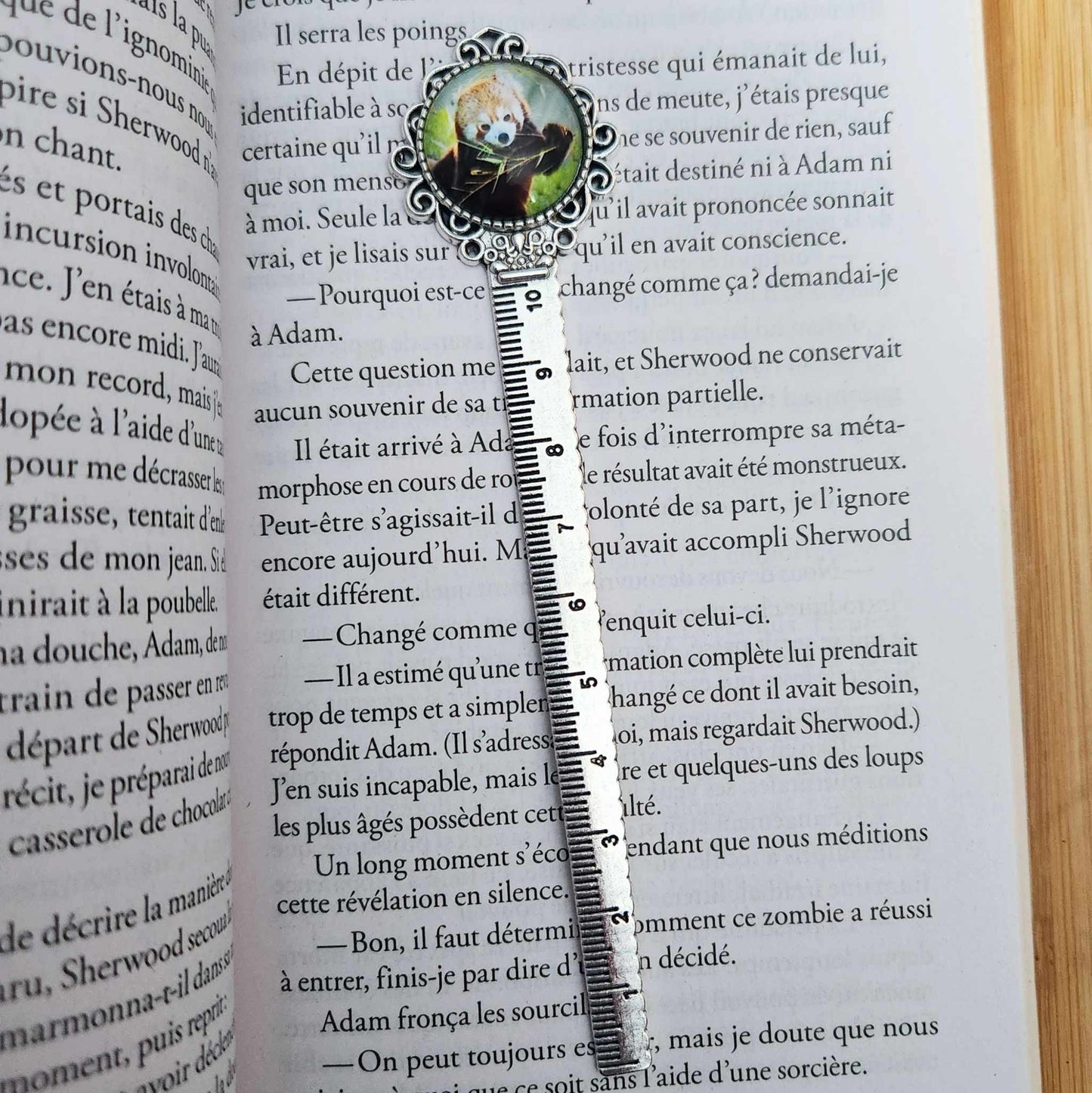 Règle de lecture - Panda roux