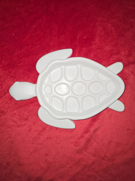 Tortue en assiette