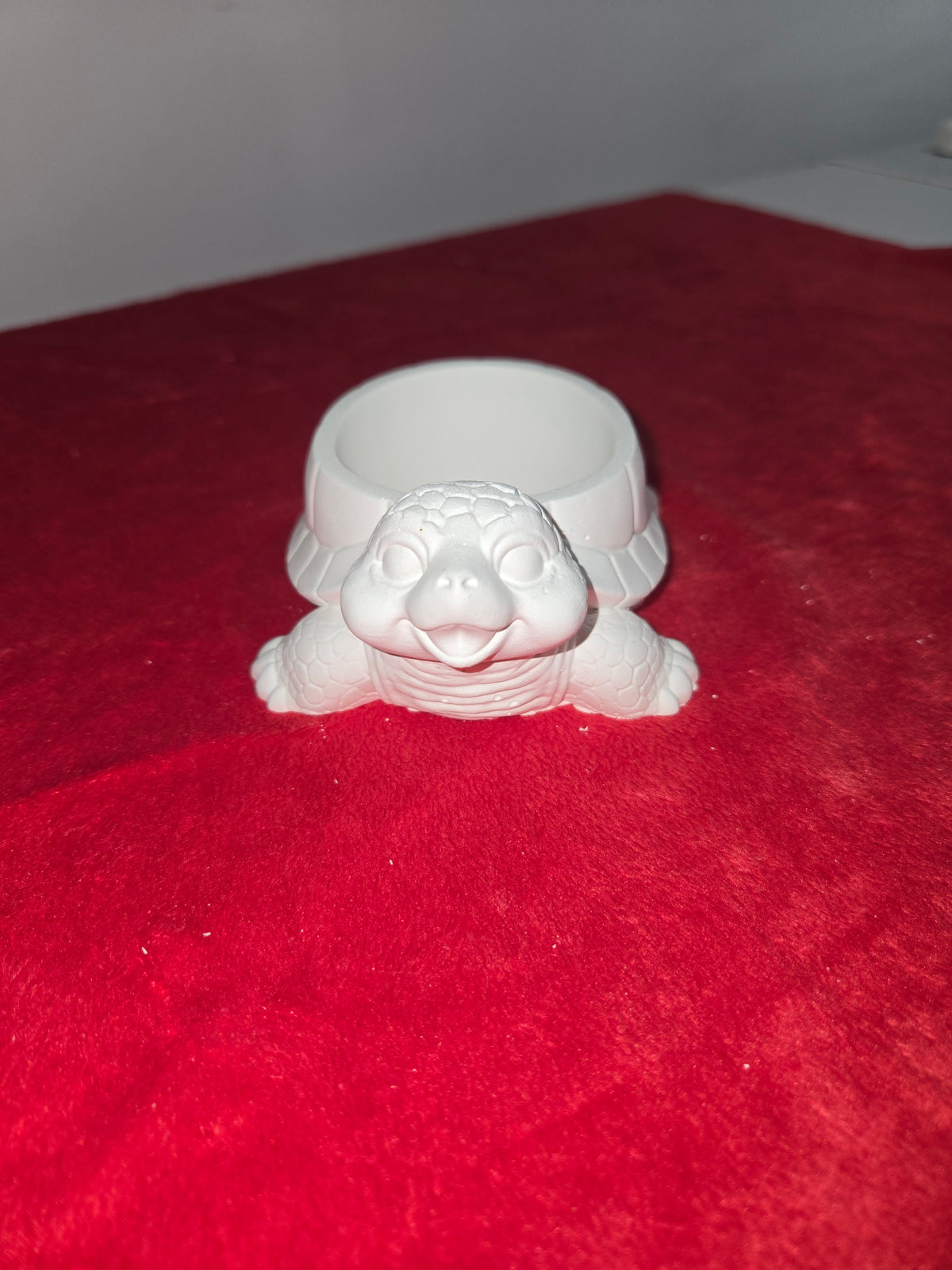 Tortue