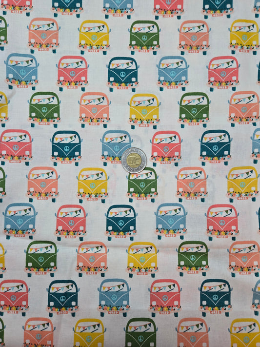 Coton - westfalia