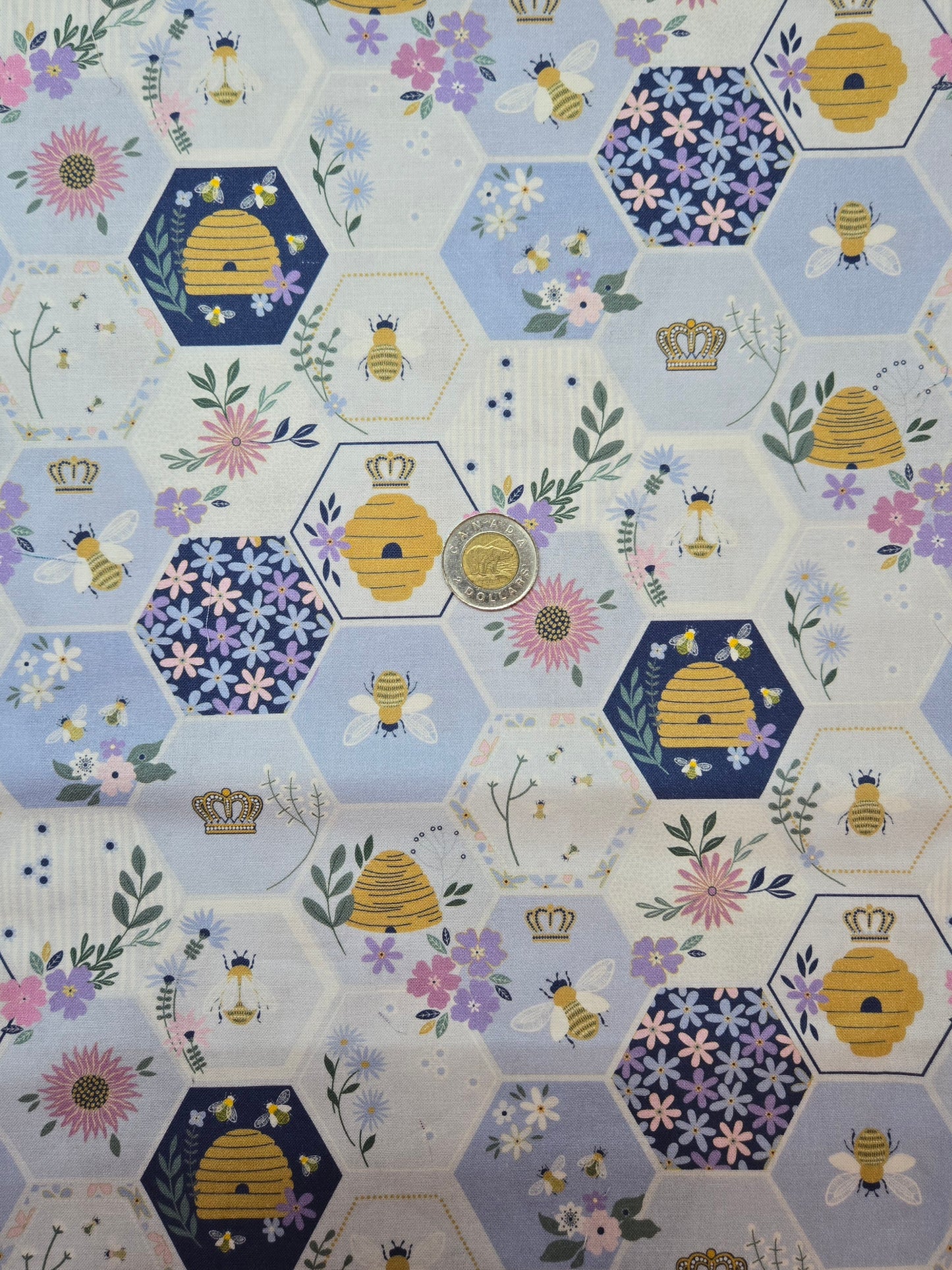 Coton - abeille hexagone