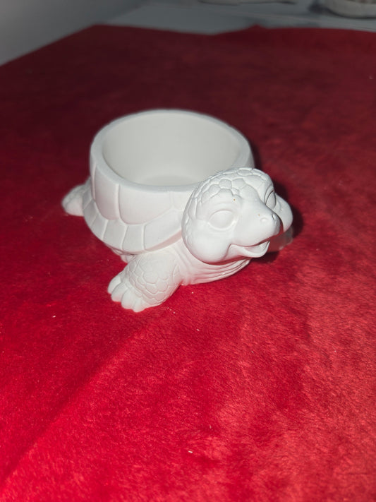 Tortue