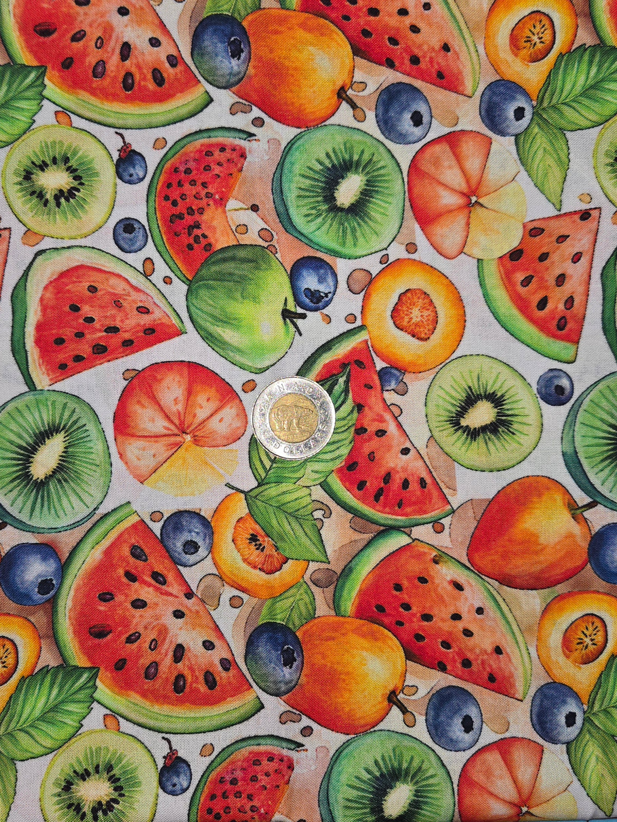 Coton- Fruits