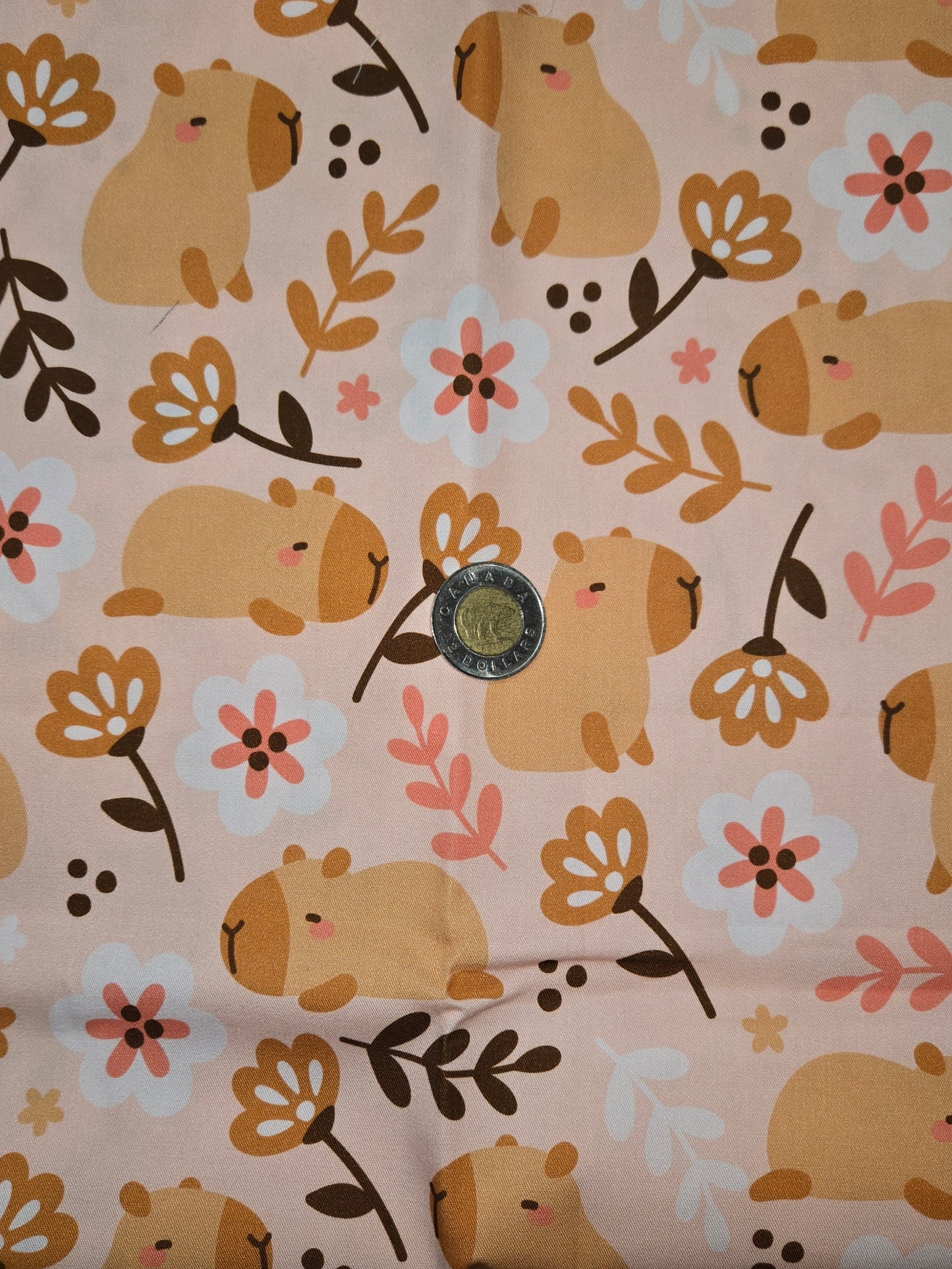 Tissus - 100% Coton/ Canevas