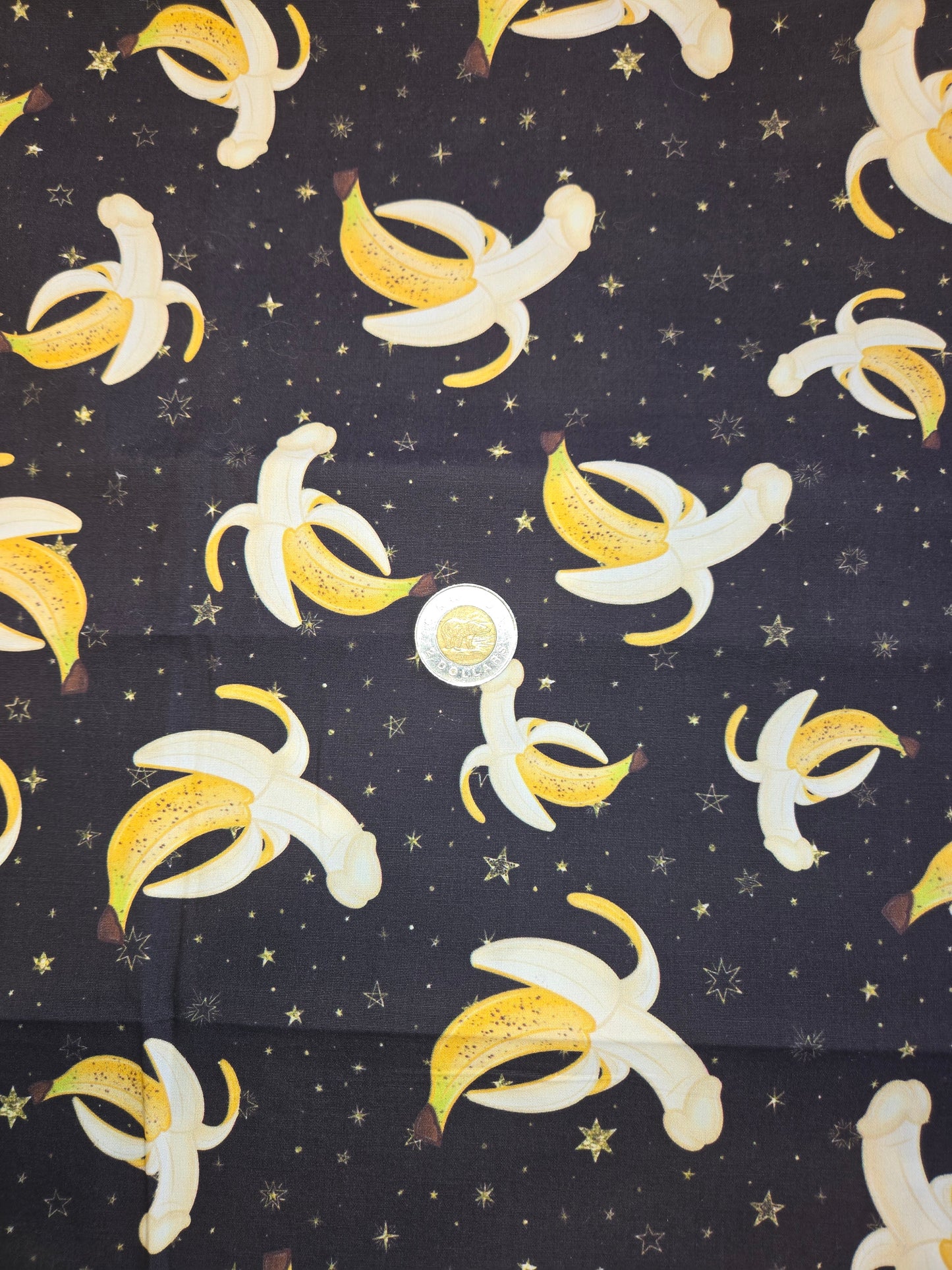 Tissus - 100% Coton/ Canevas