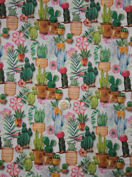Coton - Cactus