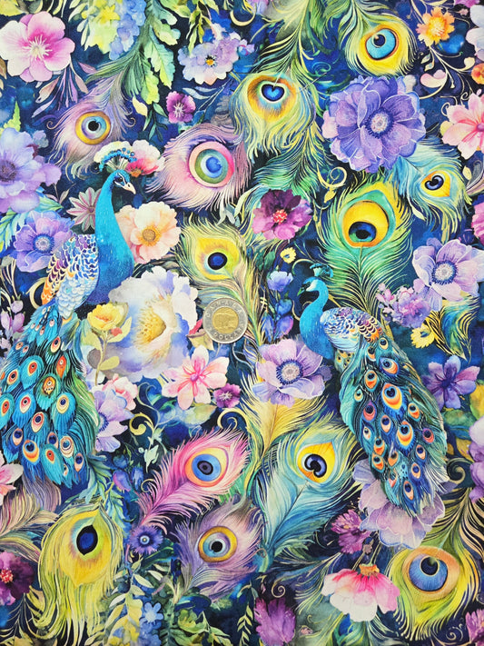 Coton - paon