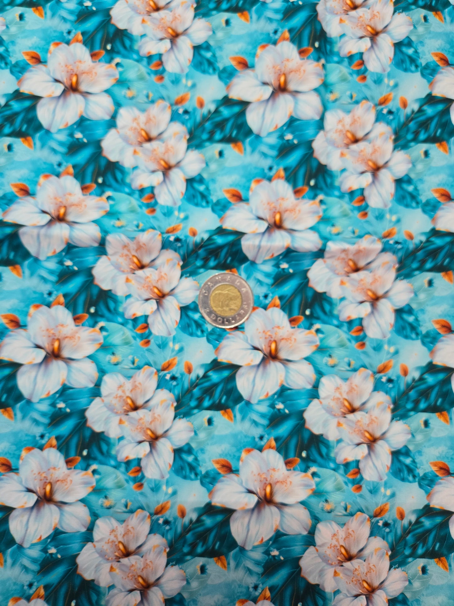 Tissus - 100% Coton/ Canevas