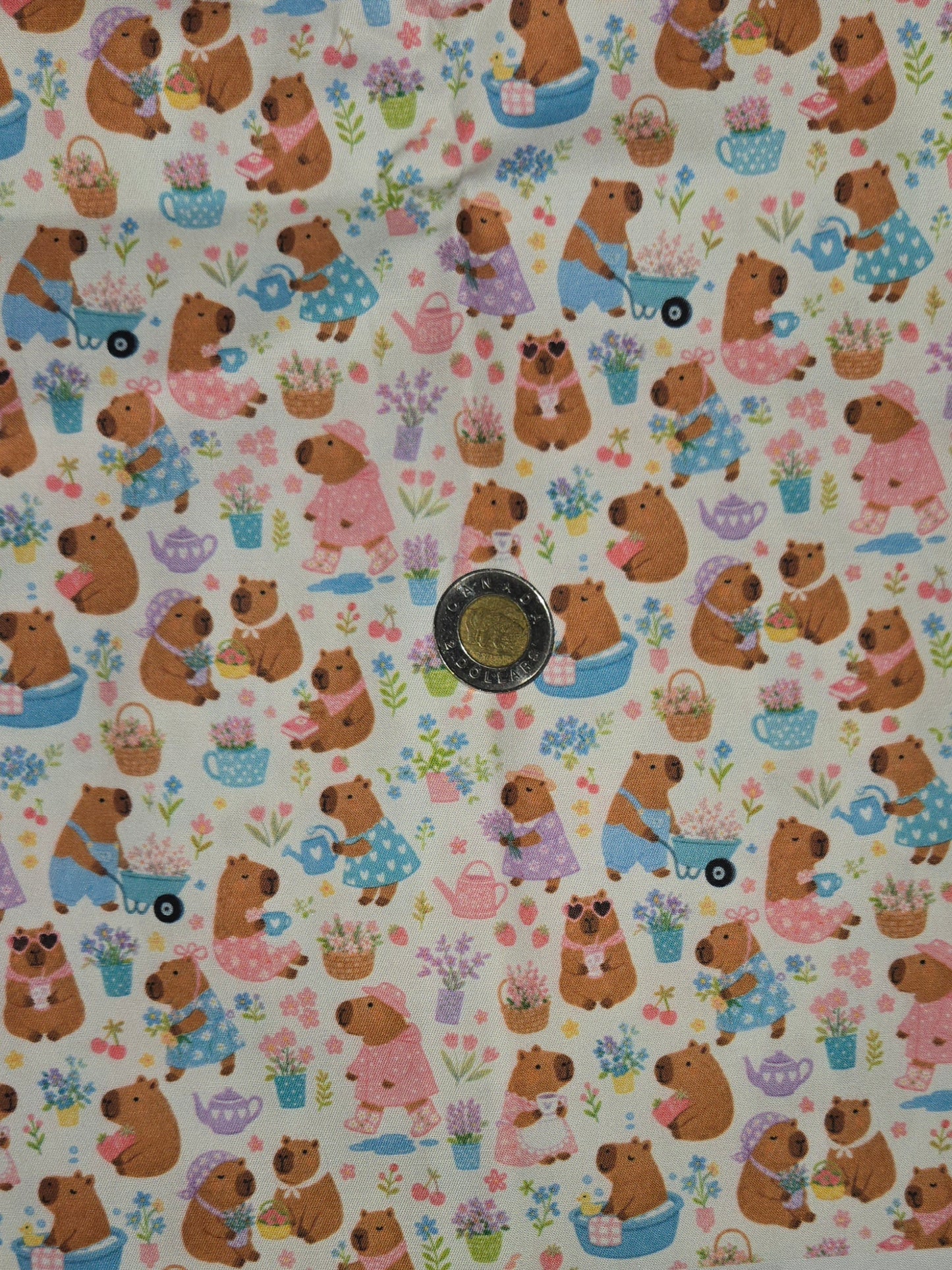 Coton - Capybara bain