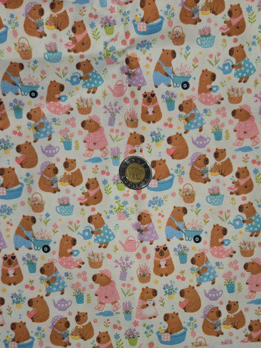 Coton - Capybara bain