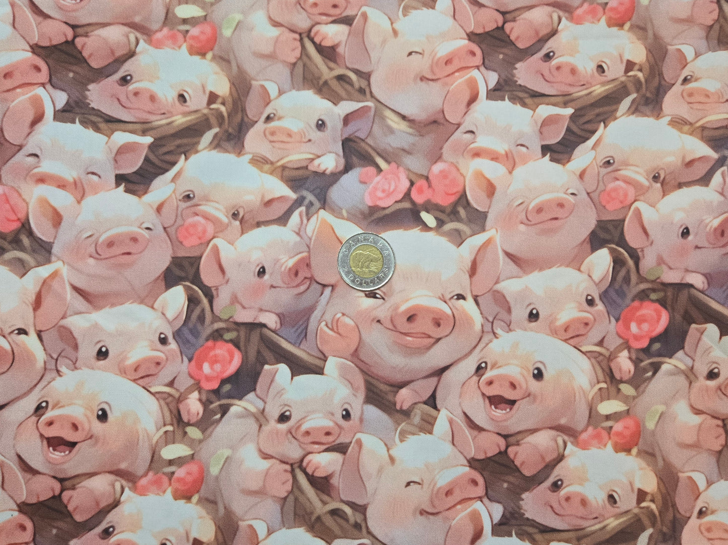Tissus - 100% Coton/ Canevas