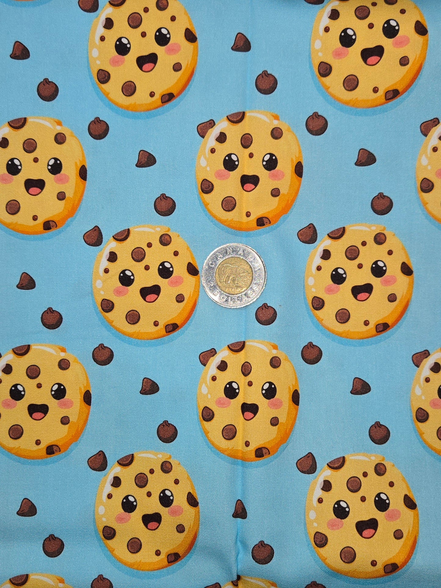 Tissus - 100% Coton/ Canevas