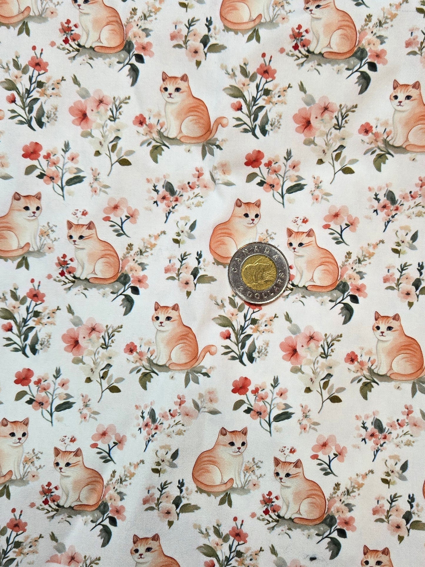 Tissus - 100% Coton/ Canevas