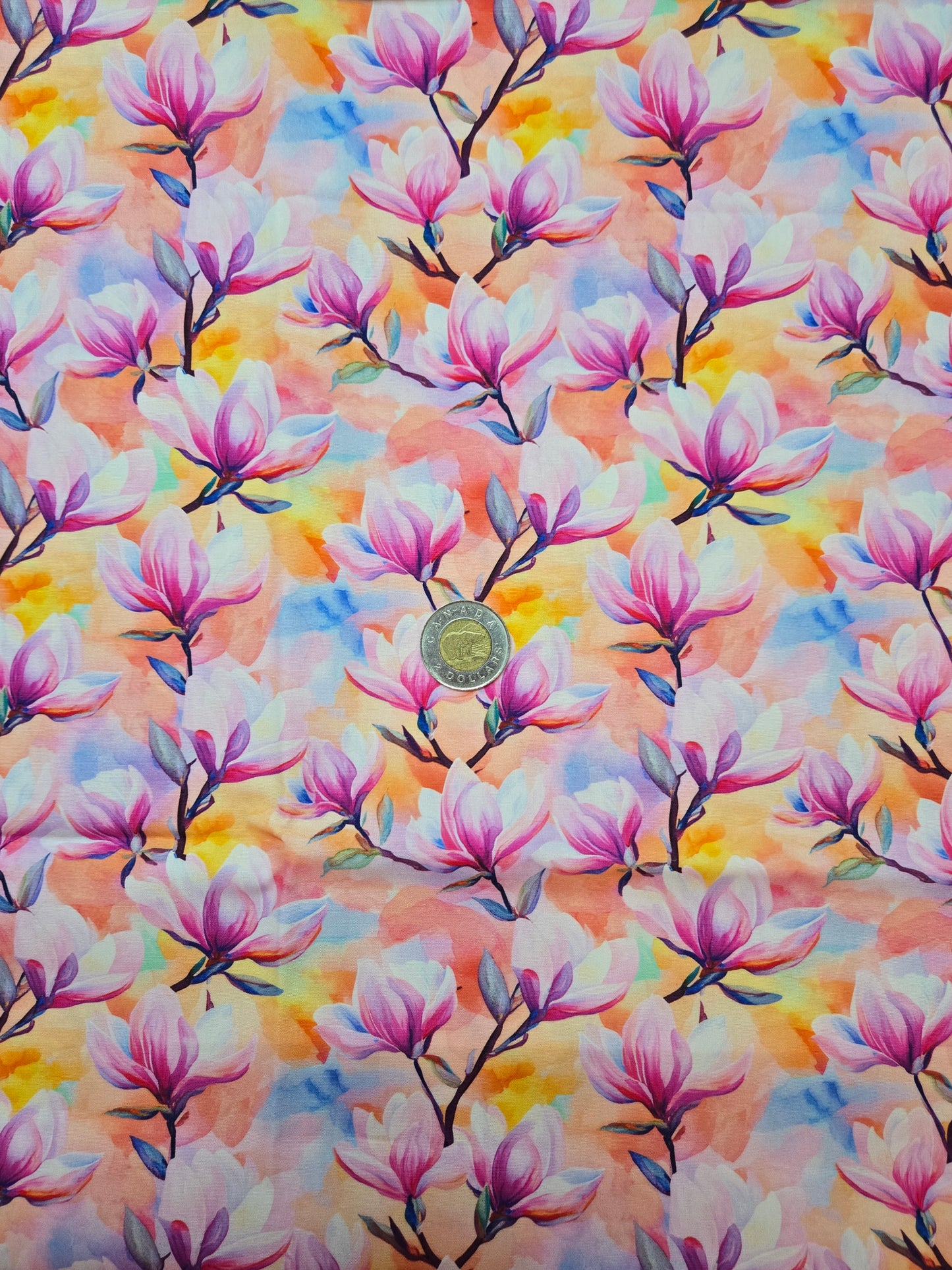 Coton - fleur
